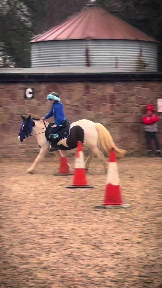 TikTok video thumbnail by graceandthegrey