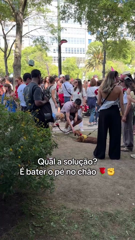 TikTok video thumbnail by edmundo_inacio