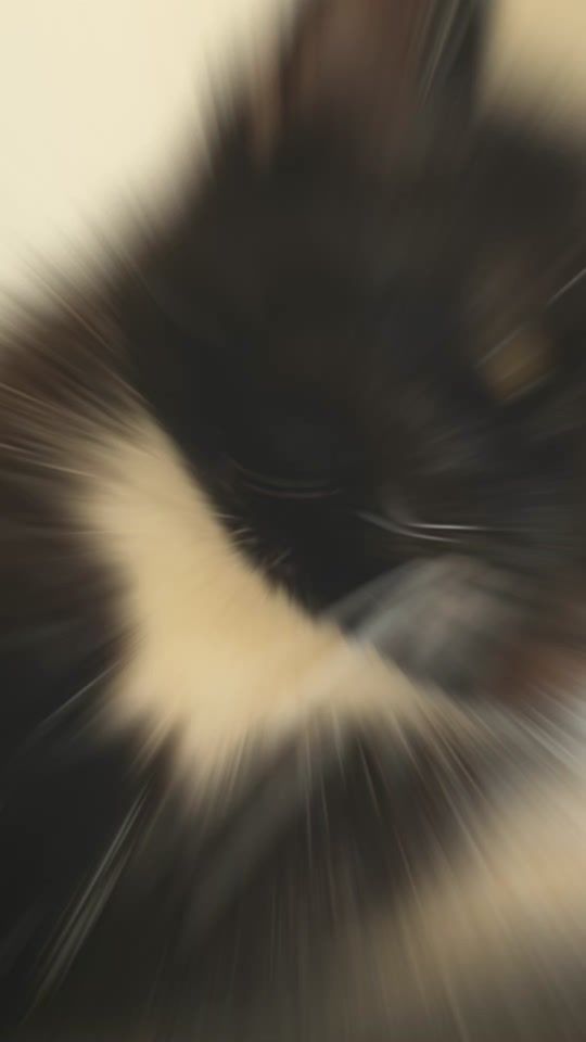 TikTok video thumbnail by nicric77