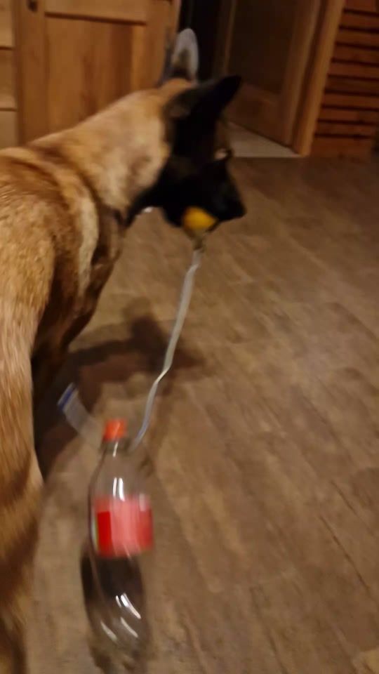 TikTok video thumbnail by ivy0046