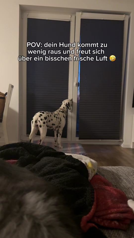 TikTok video thumbnail by crazy_cashdogs