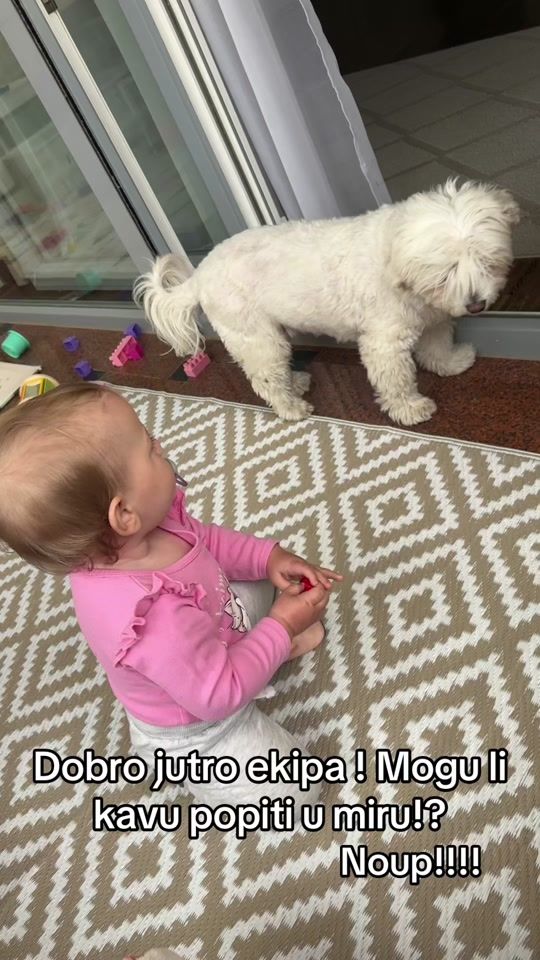 TikTok video thumbnail by isuzyq