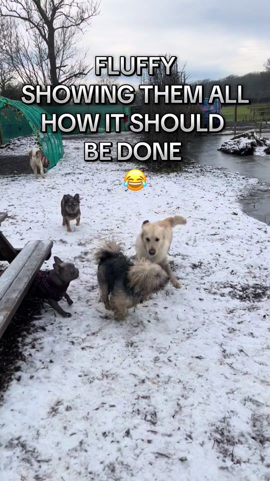 TikTok video thumbnail by go.lead