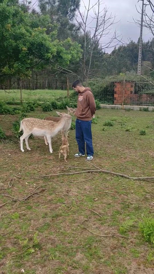 TikTok video thumbnail by quintadocabo