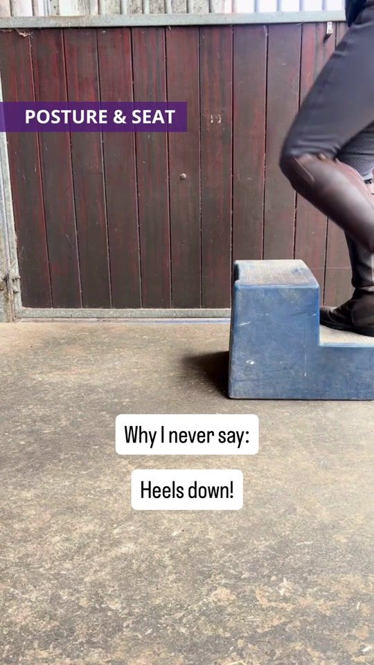 TikTok video thumbnail by dutch.equestrian.nl