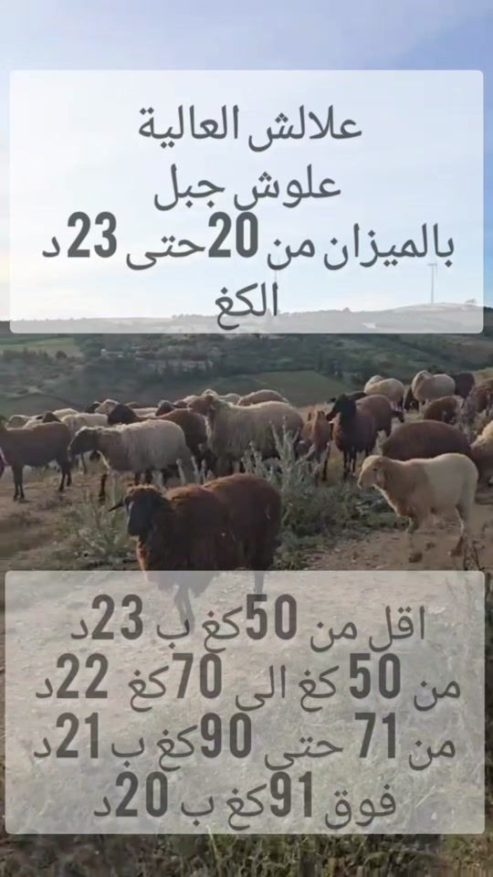 TikTok video thumbnail by hama.afdhal9999