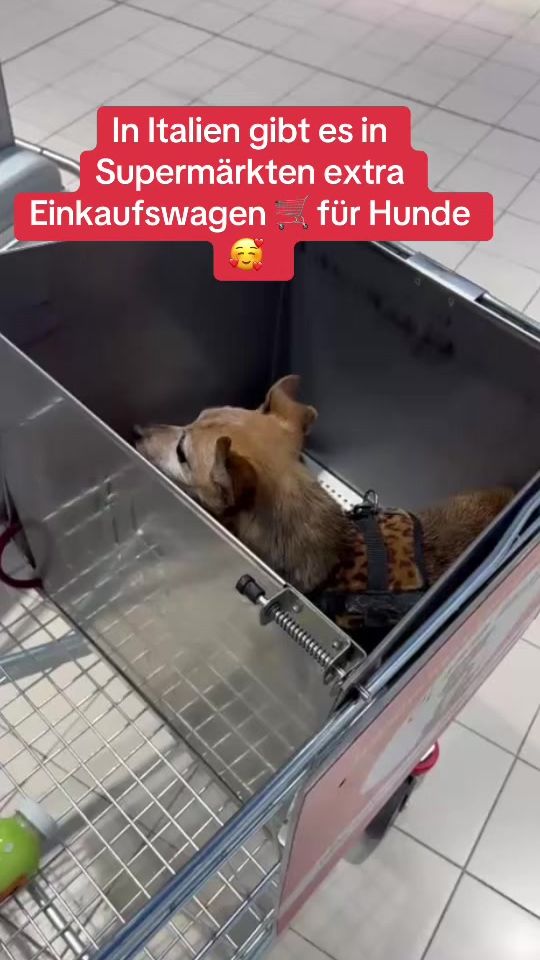 TikTok video thumbnail by jacy.mauri