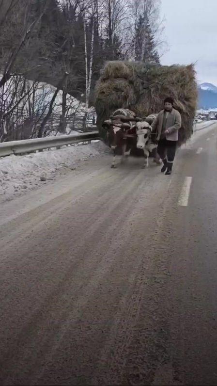 TikTok video thumbnail by ioanaichim4