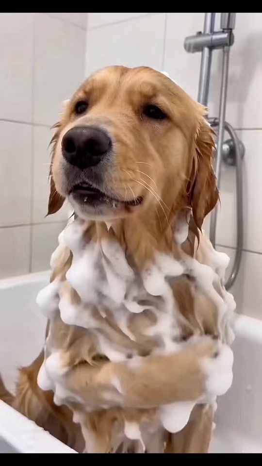 TikTok video thumbnail by sloth_off_duty