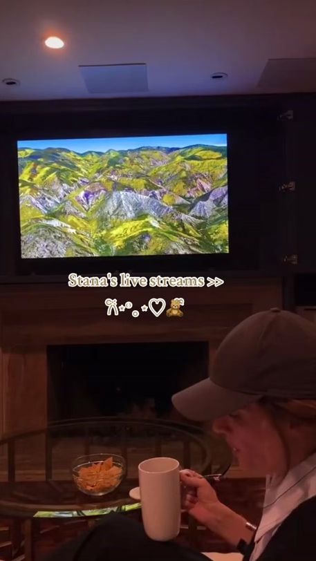 TikTok video thumbnail by am.fandomss