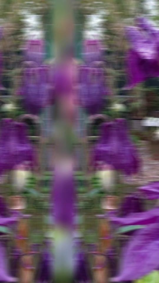 TikTok video thumbnail by stipo.arelic