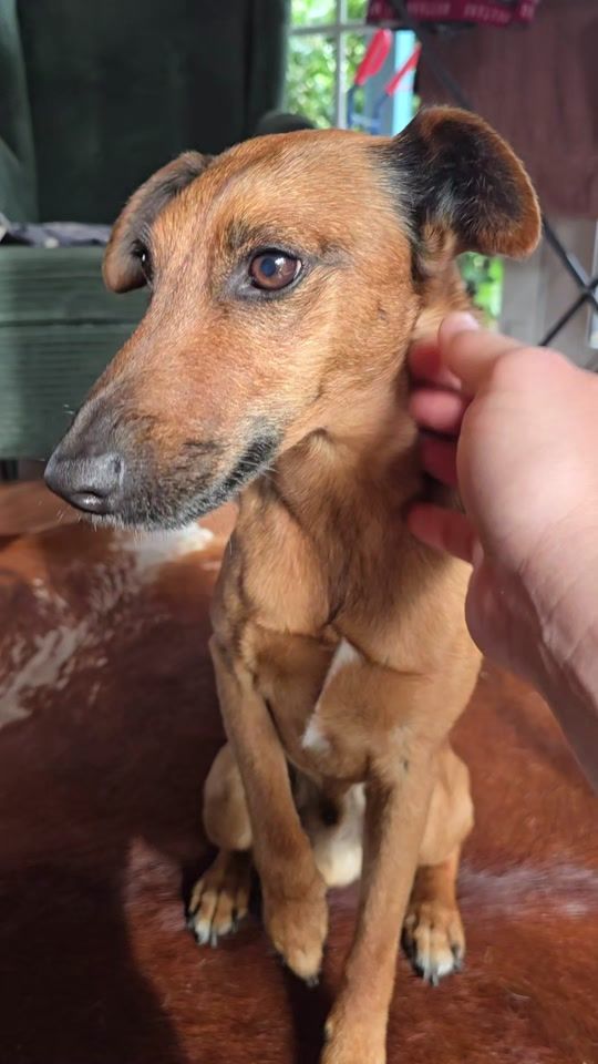 TikTok video thumbnail by lasse_und_leif