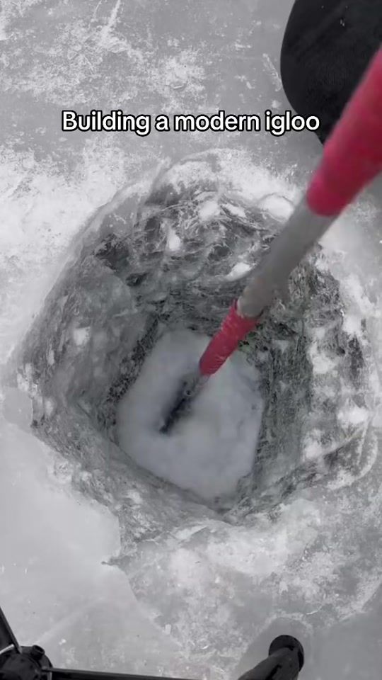 TikTok video thumbnail by momentsgang