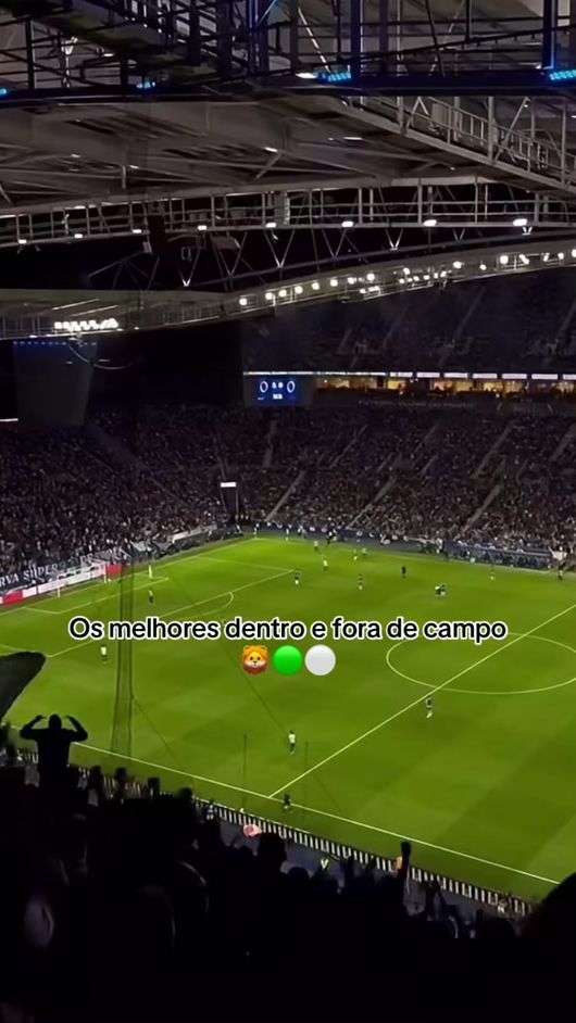 TikTok video thumbnail by feitodesorting