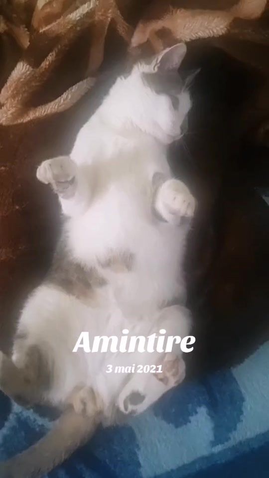 TikTok video thumbnail by r.bussines0
