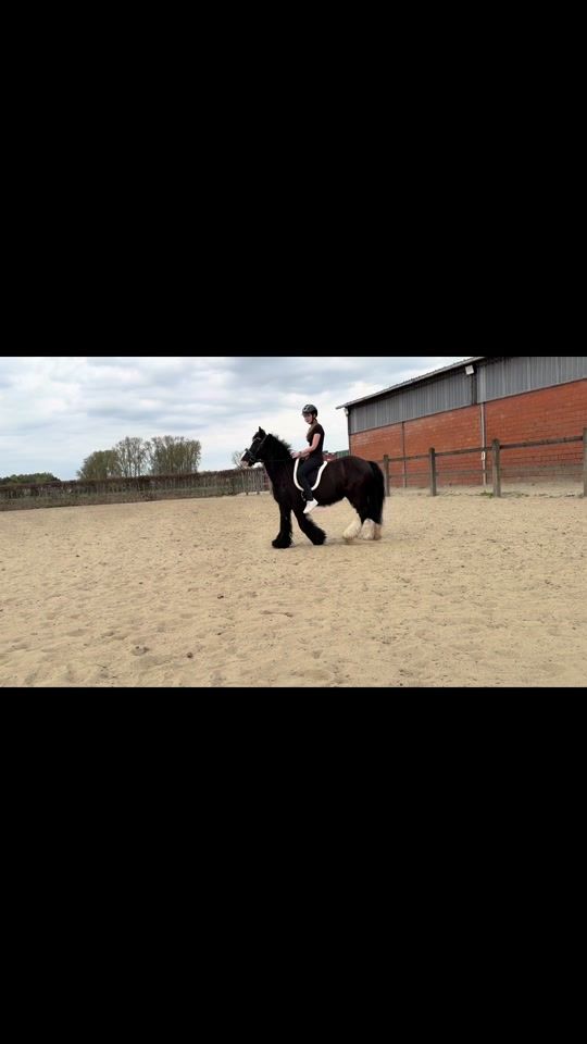 TikTok video thumbnail by amy.vs