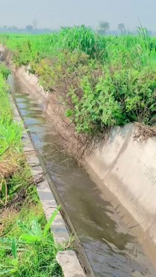TikTok video thumbnail by mian.saab416