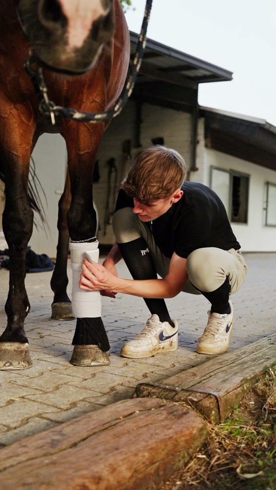 TikTok video thumbnail by nicks_equestrian1
