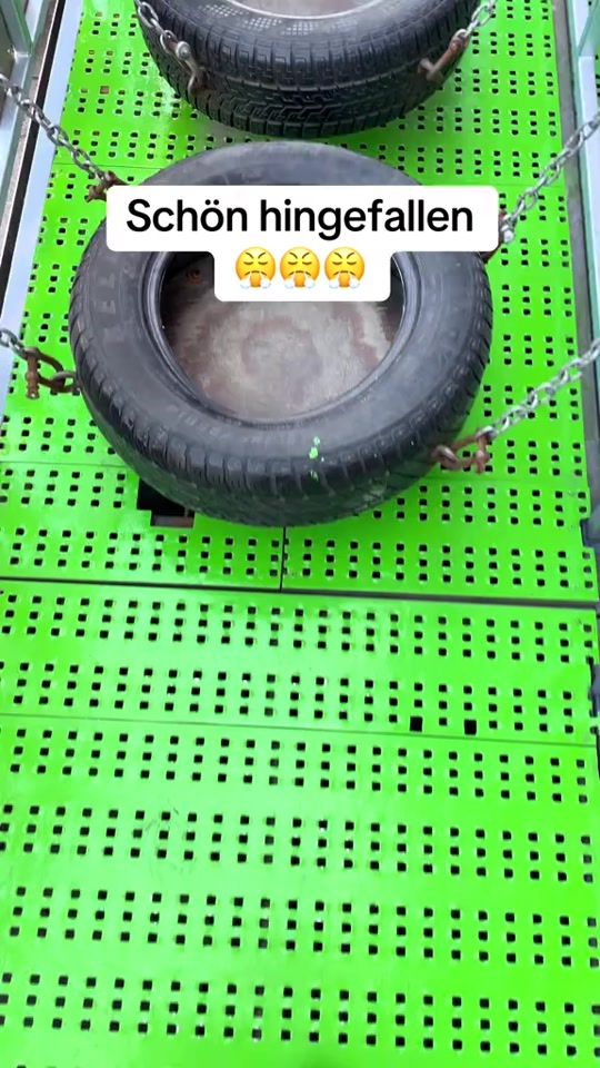 TikTok video thumbnail by onkel_bema