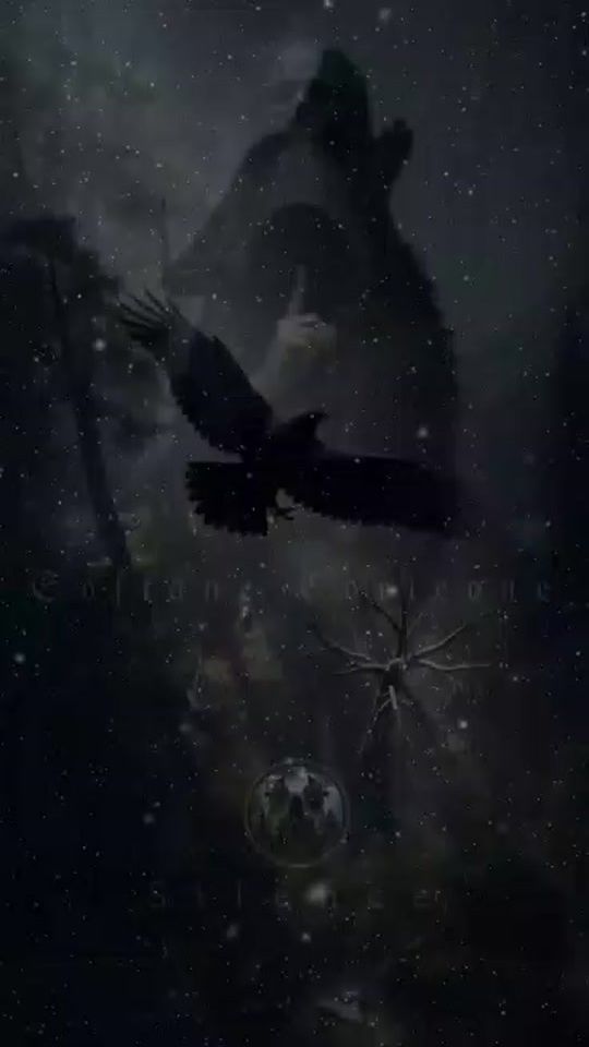 TikTok video thumbnail by sofianecorleone