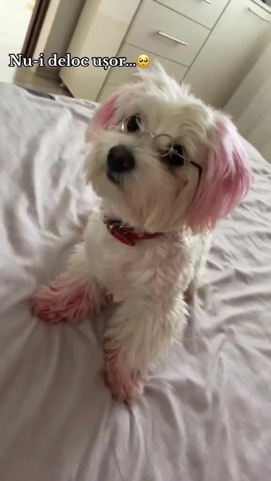 TikTok video thumbnail by rotaru.gabriela.ilinca70