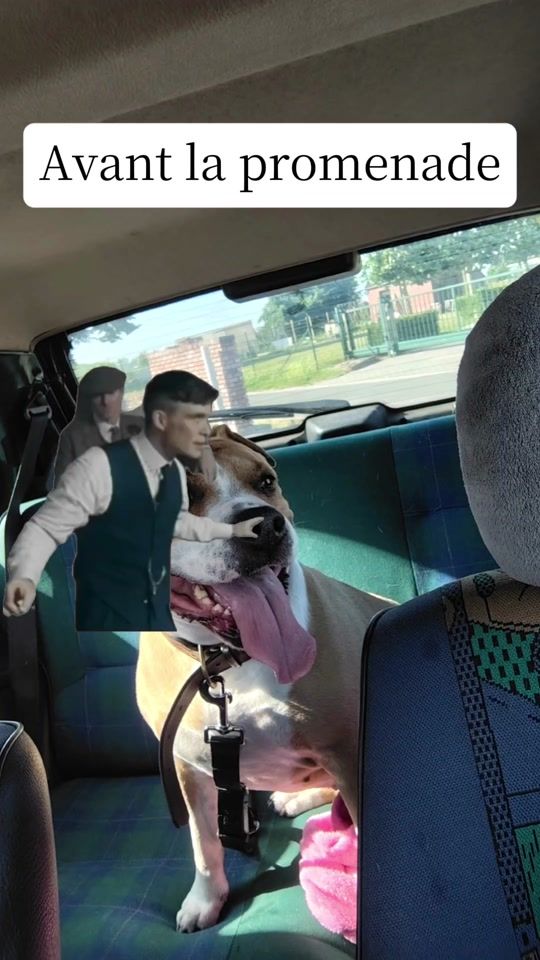 TikTok video thumbnail by sophielabelge