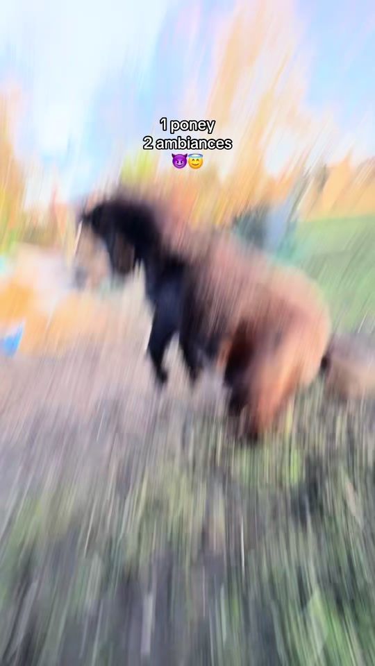 TikTok video thumbnail by au..p.oney