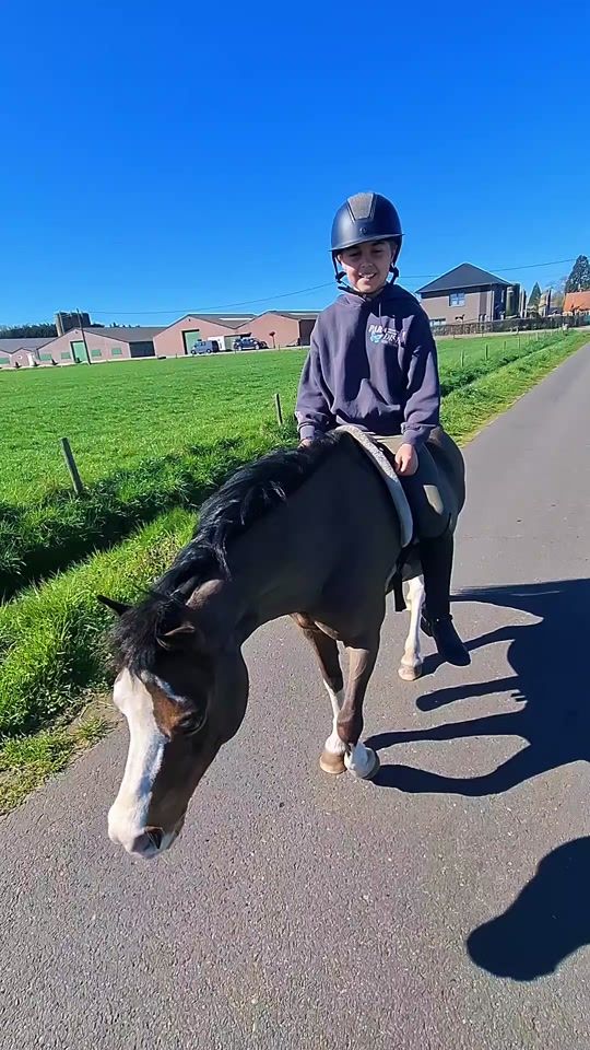 TikTok video thumbnail by steffie.silke.teamb