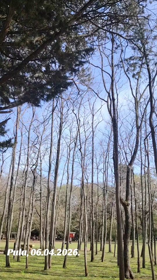 TikTok video thumbnail by denis.hrnjic