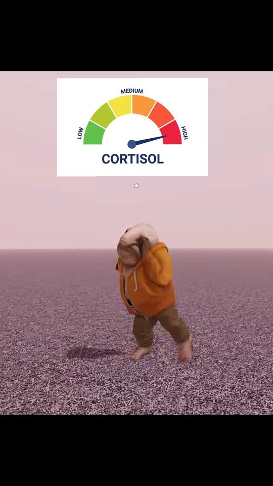 TikTok video thumbnail by gorga.the.bird