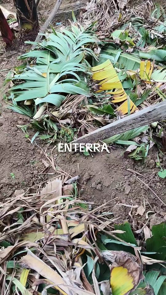 TikTok video thumbnail by j.j.g41