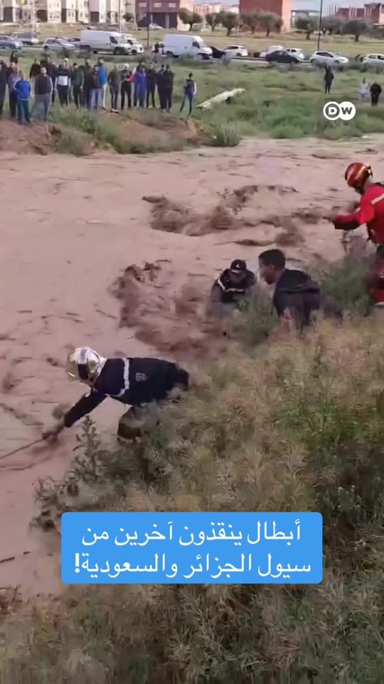 TikTok video thumbnail by dw_arabia