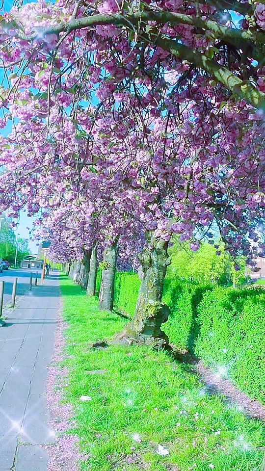 TikTok video thumbnail by oum_ibrahim7