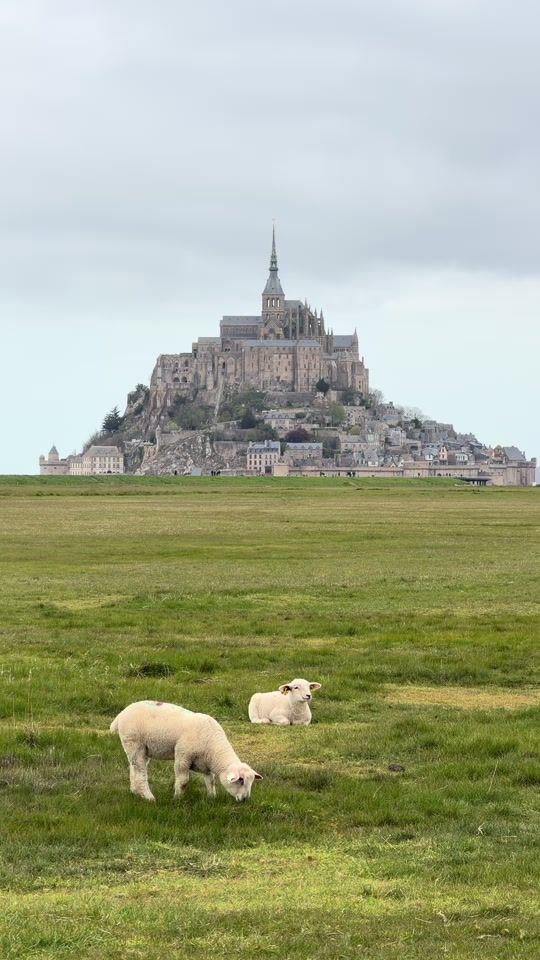 TikTok video thumbnail by mznuki