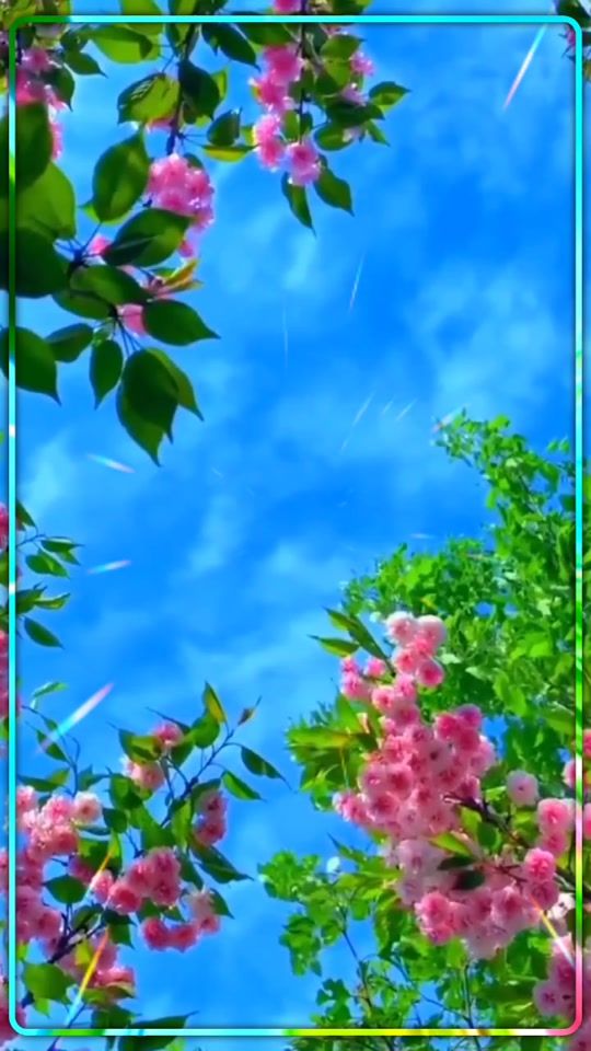 TikTok video thumbnail by erika3894