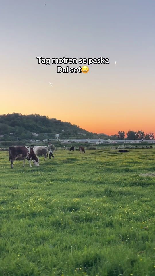 TikTok video thumbnail by couple.en3