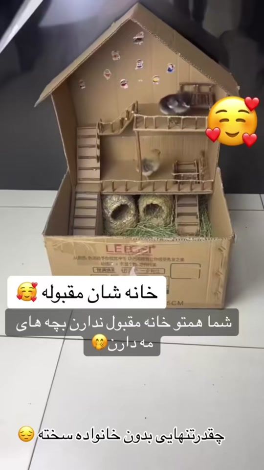 TikTok video thumbnail by roya_610