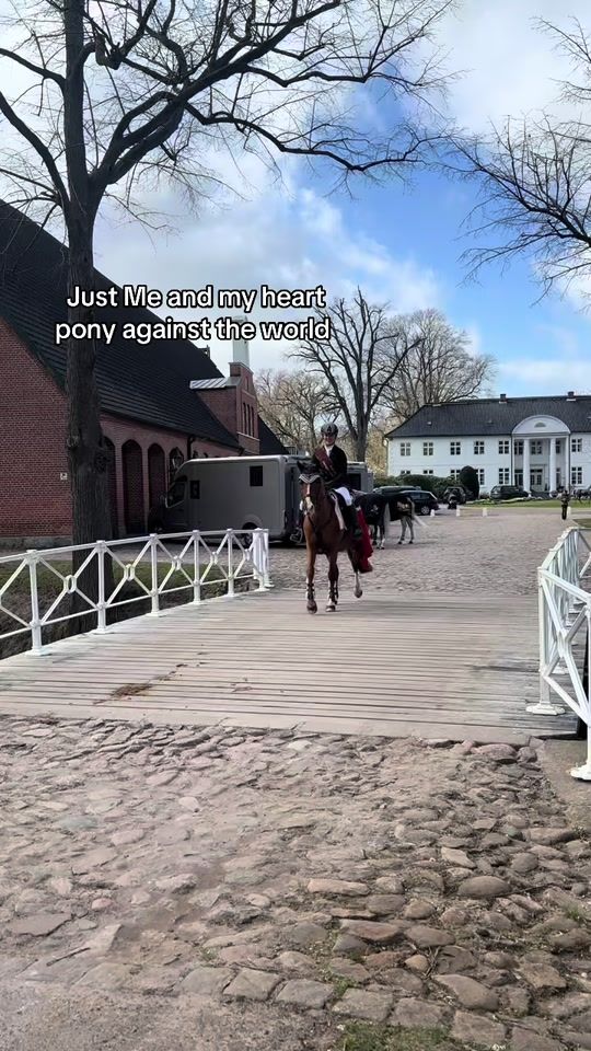 TikTok video thumbnail by dithmarscher_deern_andra