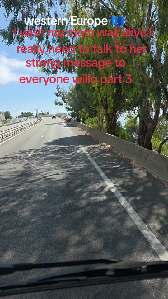 TikTok video thumbnail by zim.truckdriveroversea