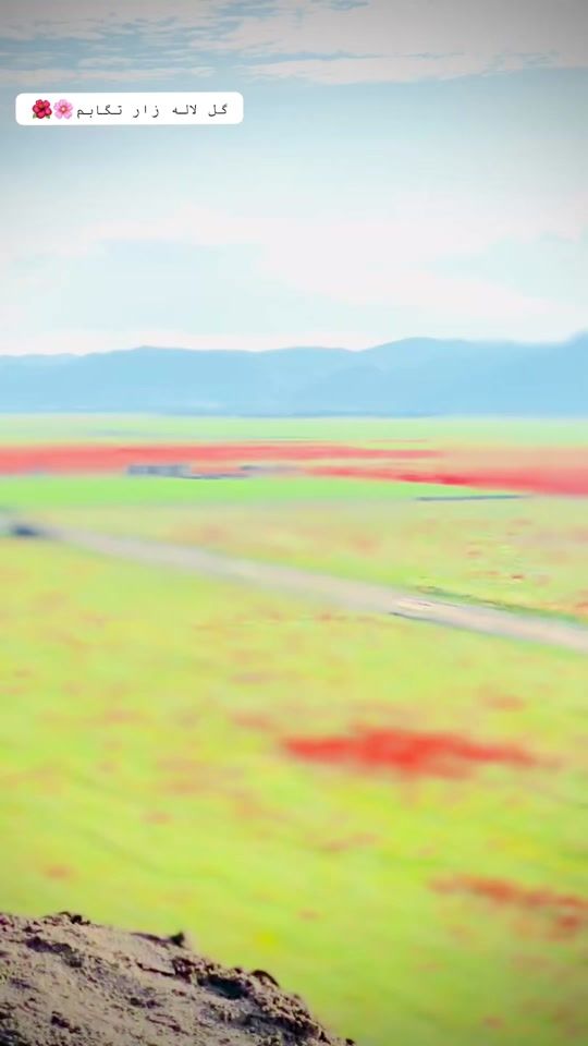 TikTok video thumbnail by shanauad