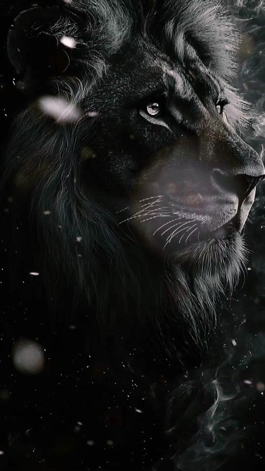 TikTok video thumbnail by focoanonimo_oficial7