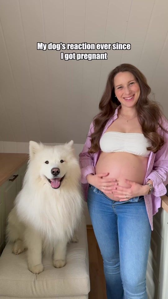 TikTok video thumbnail by wanderlust_samoyed