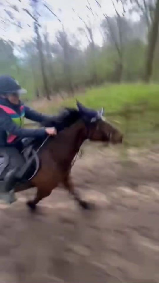 TikTok video thumbnail by omi_and_yankee