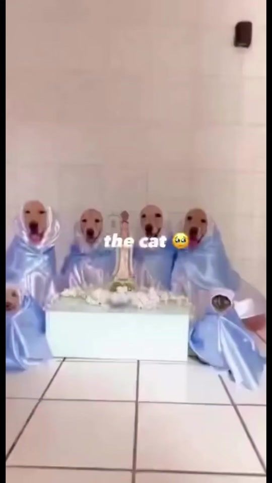 TikTok video thumbnail by ricardo_kahl999