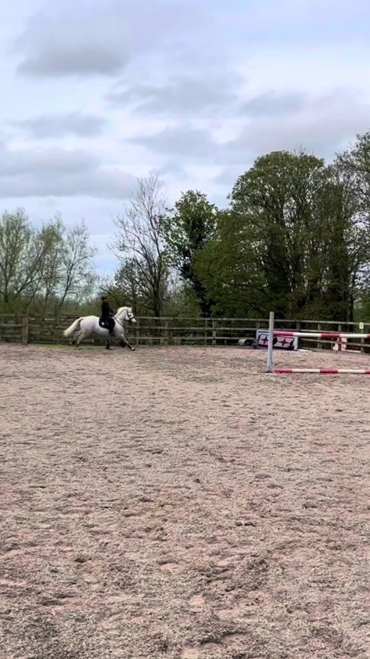 TikTok video thumbnail by anabelshowjumping