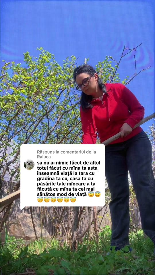 TikTok video thumbnail by isabelamaria1988