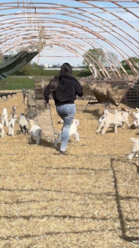 TikTok video thumbnail by roxanambud