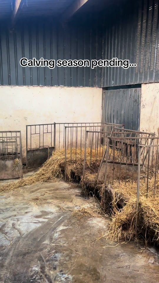 TikTok video thumbnail by mcclements_agri
