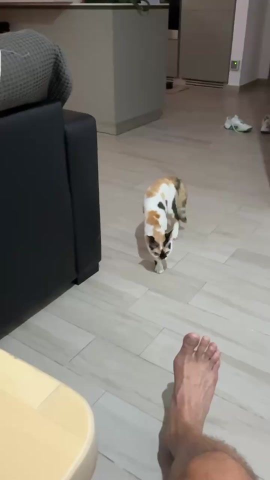 TikTok video thumbnail by foxy1158