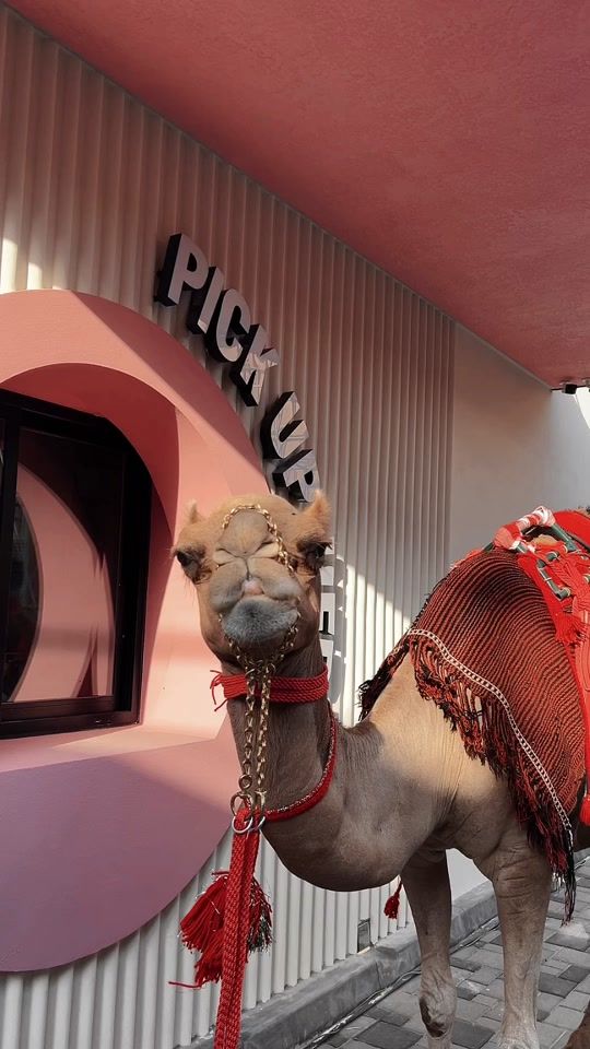 TikTok video thumbnail by joeandthejuicebahrain